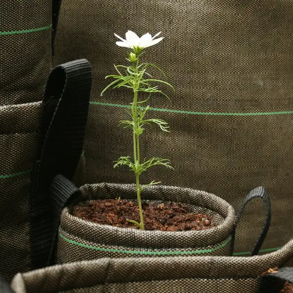 Bacsac Fabric Pot, 100 L, Geotextile 4 Bacsac Fabric Pot, 100 L, Geotextile - Image 2