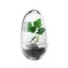 Design House Stockholm Grow Mini Greenhouse, S -Fredericia Sales 26DesignHouse iso HV