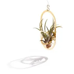 Fundamental Berlin Air Pendant Plant Holder, Brass -Fredericia Sales AIR PENDANT angle