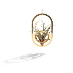 Fundamental Berlin Air Pendant Plant Holder, Brass -Fredericia Sales AIR PENDANT straight