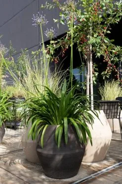 Serax Construct Pot S, Black 5 Serax Construct Pot S, Black -Fredericia Sales B4920012 sfeer terrace 6