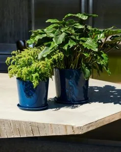 HAY Botanical Family Pot And Saucer, L, Dark Blue -Fredericia Sales Botanical Family Set XL dark blue Botanical Family Set L dark blue 01