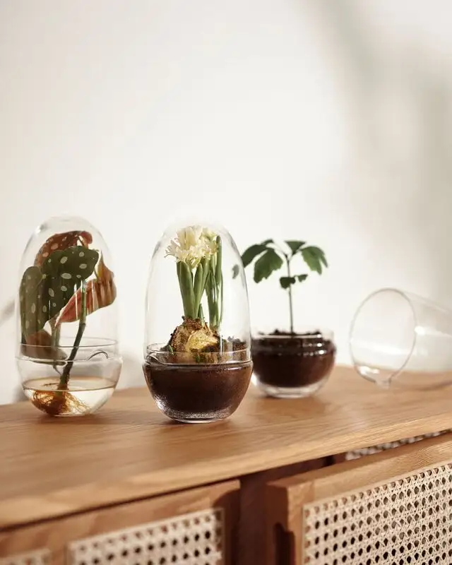 Design House Stockholm Grow Mini Greenhouse, M 4 Design House Stockholm Grow Mini Greenhouse, M - Image 2