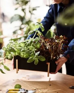 Design House Stockholm Botanic Planter Box -Fredericia Sales DHS lifestyleimage 5