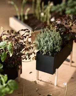 Design House Stockholm Botanic Planter Box -Fredericia Sales DHS lifestyleimage 7
