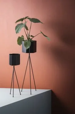 Ferm LIVING Plant Stand, Large, Black 11 Ferm LIVING Plant Stand, Large, Black -Fredericia Sales FERM LIVING IMAGE 01