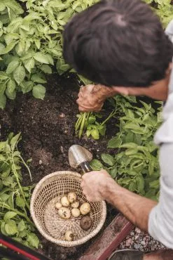 Fiskars Xact Trowel -Fredericia Sales Fiskars Garden Action Summer Harvest Xact Trowel 1027043 01