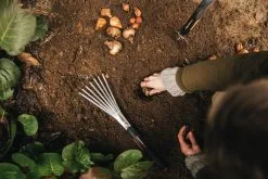 Fiskars Xact Cultivator -Fredericia Sales Fiskars Garden Action Xact Trowel Hand rake 1027043 1027044 1