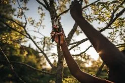 Fiskars X-Series Bypass Pruner L, P961 -Fredericia Sales Gardening Action X Series Pruner Bypass P961 1057175 05