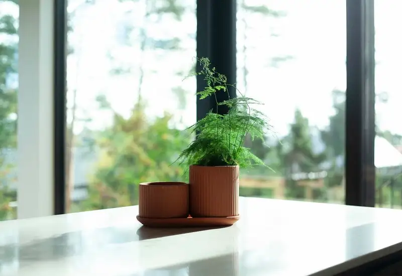 Elementa Pot, Medium, Terracotta 6 Elementa Pot, Medium, Terracotta - Image 4