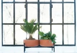 Elementa Pot, Low, Terracotta 8 Elementa Pot, Low, Terracotta -Fredericia Sales KlorofyllbyAndersenVoll doublelowbaseterracotta