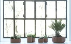 Elementa Klorofyll Pot Set, Terracotta -Fredericia Sales KlorofyllterracottabyAnderssenVoll 1