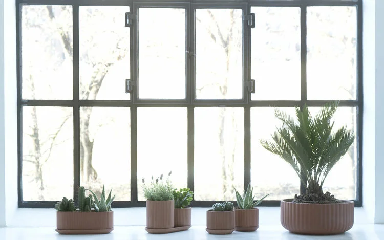 Elementa Pot, Medium, Terracotta 4 Elementa Pot, Medium, Terracotta - Image 2