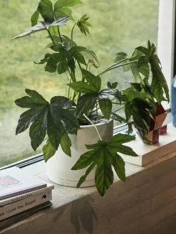 HAY Plant Pot With Saucer, XXL, White -Fredericia Sales Plant Pot with Saucer off white