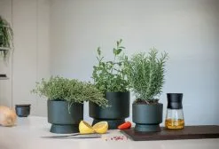 Rosendahl Flowerpot, 12 Cm, Green -Fredericia Sales ROS 20620 20622 RO Flowerpots in kitchen setting 02 300dpi