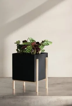 Design House Stockholm Botanic Pot -Fredericia Sales image2 2704 1081 BotanicPot Function