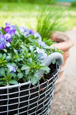 Korbo Planting Bag 24, 3 Pcs 12 Korbo Planting Bag 24, 3 Pcs -Fredericia Sales korbo Classic 24 Pansy