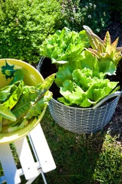 Korbo Planting Bag 24, 3 Pcs 10 Korbo Planting Bag 24, 3 Pcs -Fredericia Sales korbp Classic 24 Lettuce